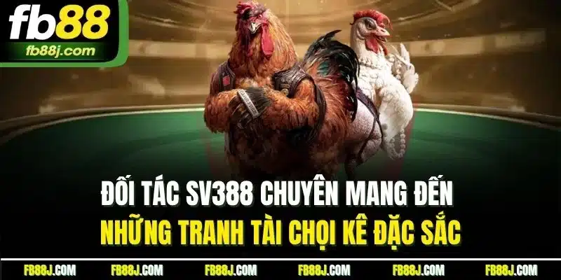 Đá Gà FB88 | Chinh Phục Sảnh Chọi Kê Trực Tiếp Chất Lượng 4 Đối tác SV388 chuyên mang đến những tranh tài chọi kê đặc sắc