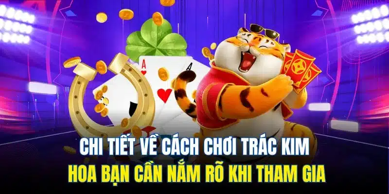 Chi tiết về cách chơi Trác Kim Hoa bạn cần nắm rõ khi tham gia